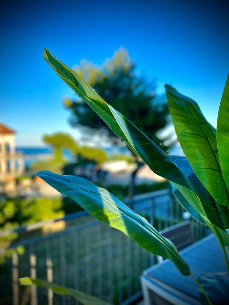 Ferienwohnung La Marinella Massignano Zimmer foto